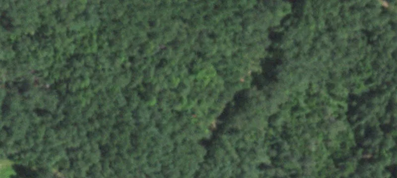 Wooded Residential Land Parcel