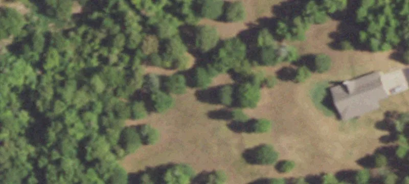 Cleared Homesite Acreage with Driveway