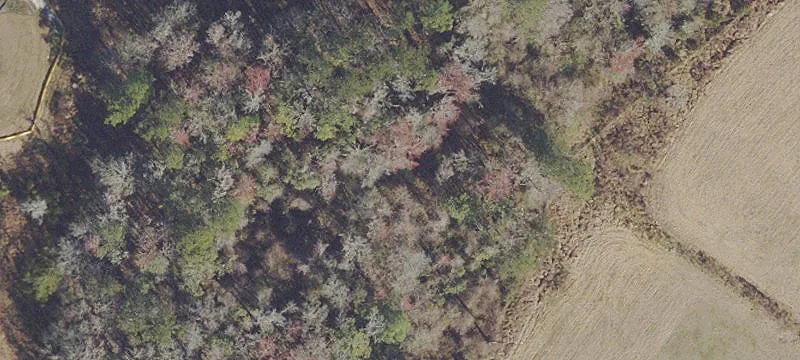 Large Tract Land For Sale