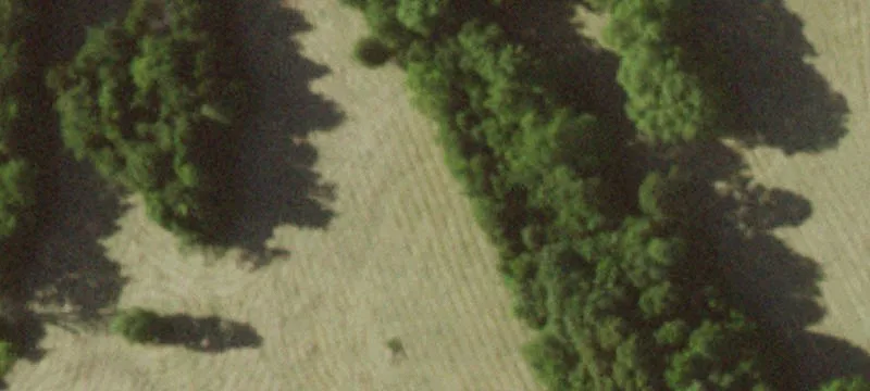Secluded Hunting & Recreation Land