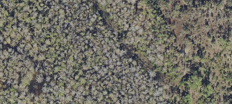 Approved PUD Development Land