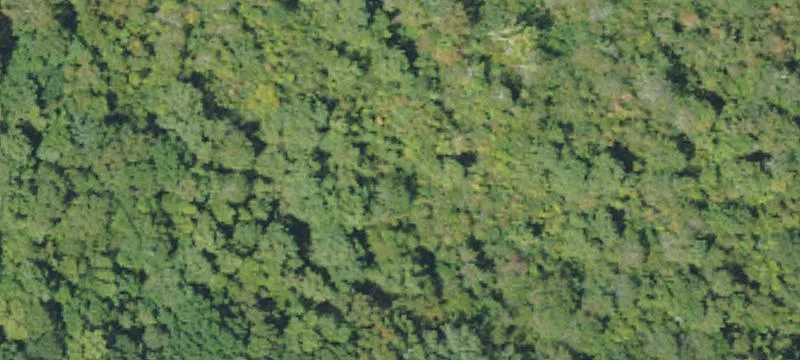 Residential Land with Established Driveway