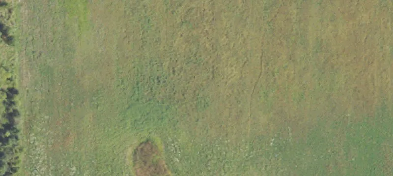 81-Acre Development Tract