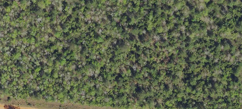Specialty Land Parcel