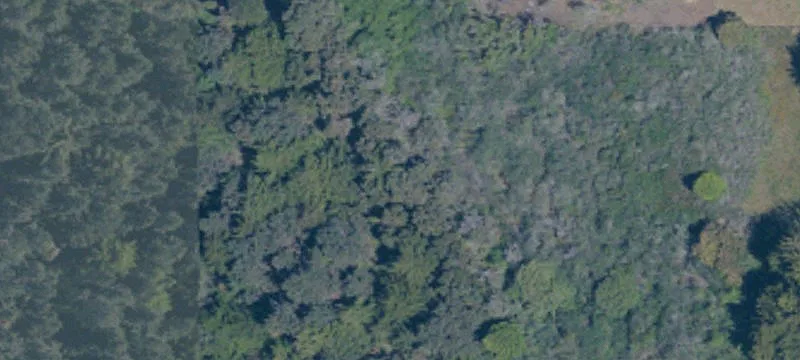 Coastal Waterfront Land Parcel