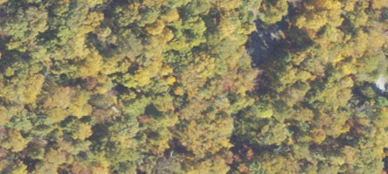 Corner Wooded Residential Lot
