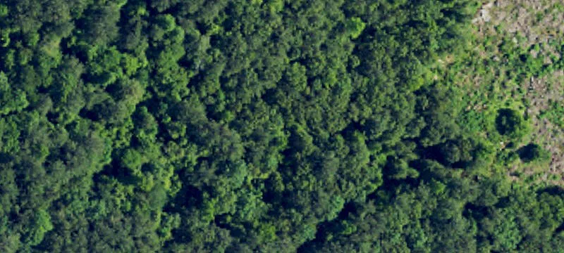 Partially Cleared Farmland Acreage