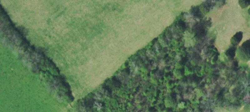 Mobile Home Park with 7 Lots