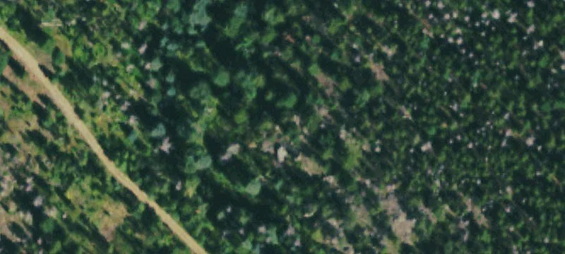Mountain View Residential Land Parcel