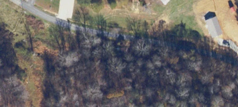 Recreational Land Tract with Road Frontage