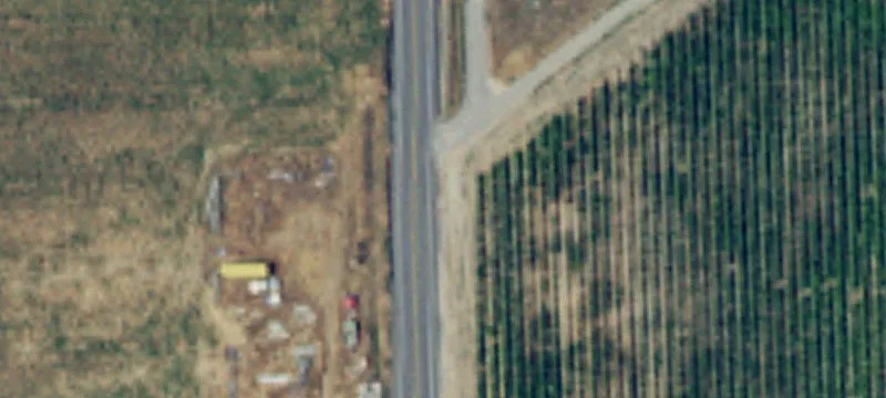 Agricultural Land with Cannabis Canopy
