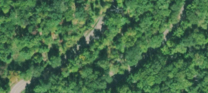 Wooded Mountain Home Site