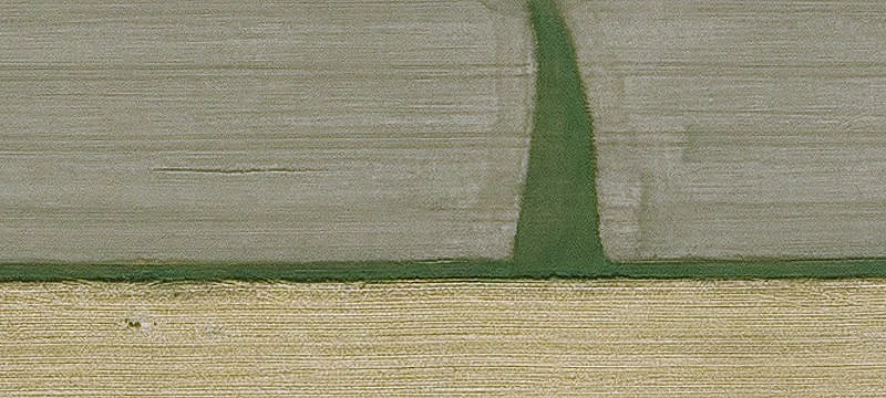 Agricultural Land with CRP