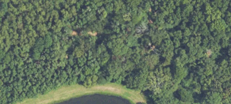 Specialty Land Parcel