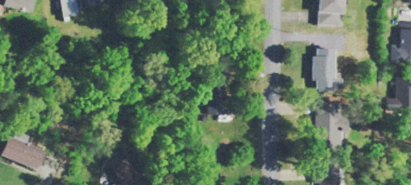 Residential Home Lot with Trees