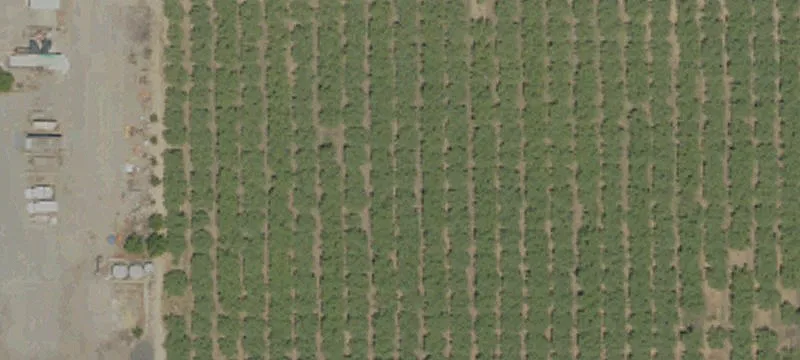 Agricultural Property for Sale