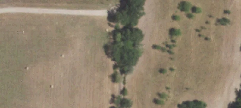 Recreational Farm with Pond