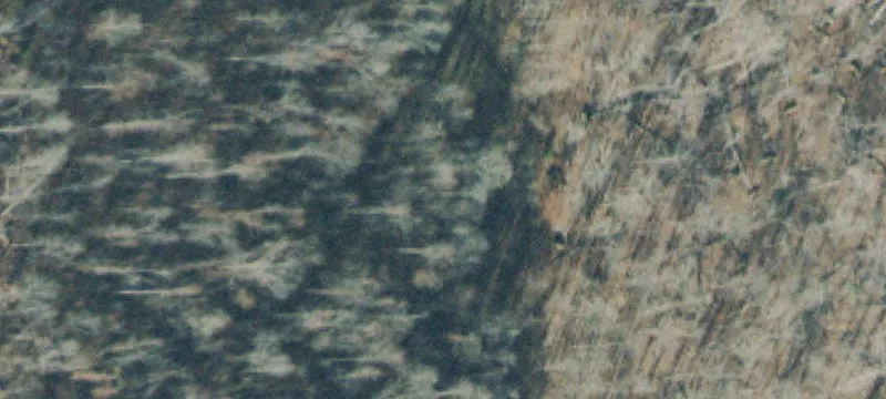 Wooded Recreational Timber Tract