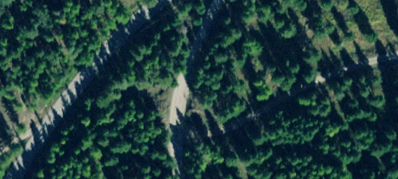 Secluded Timberland Acreage