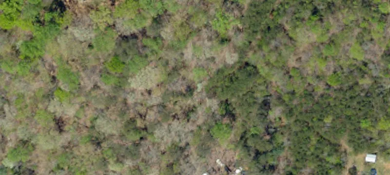 Residential Land Lot in Subdivision
