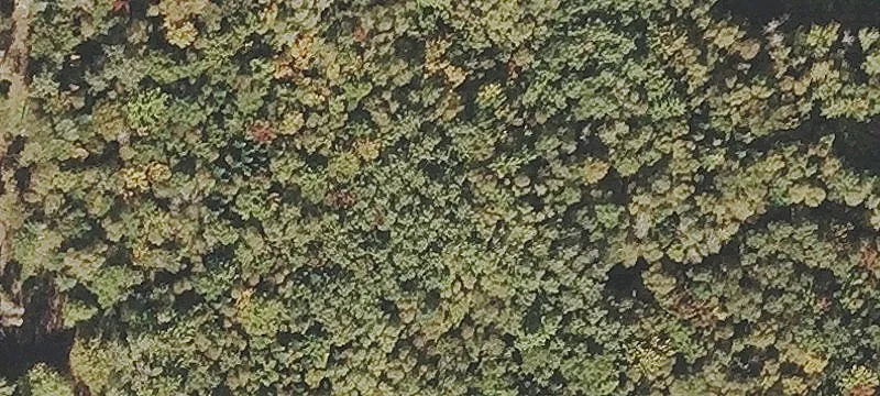 Recreation Land Parcel