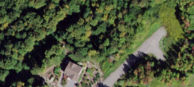 Land with Ski Slope Views