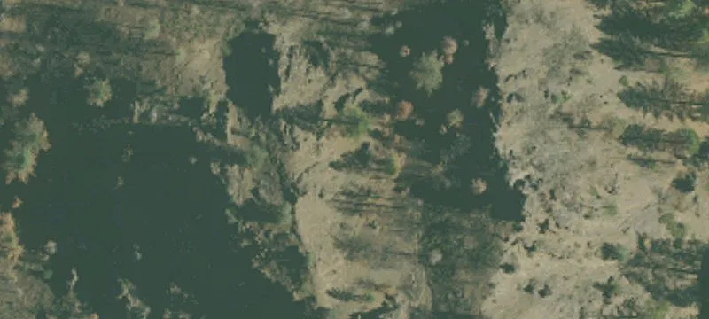 Residential Land Lot with Pines