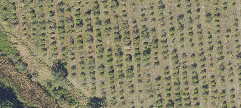 Agricultural Land with Lakes Access