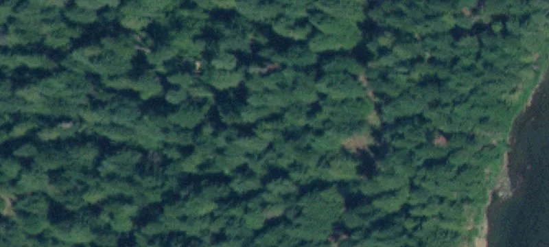 Wooded Residential Land Parcel