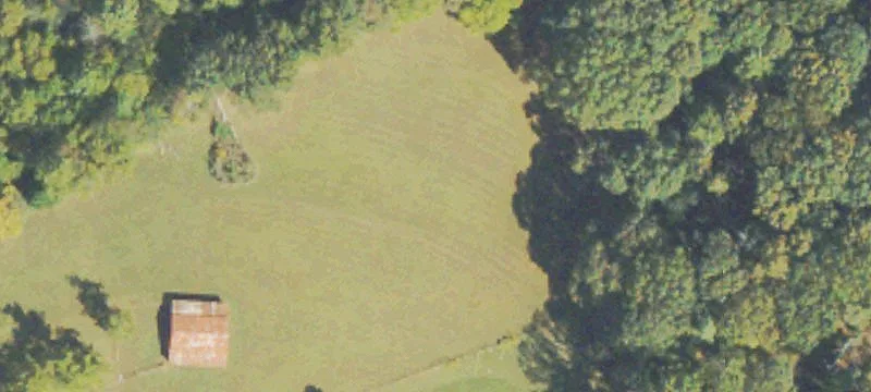 Unrestricted Foothills Land with Pastures