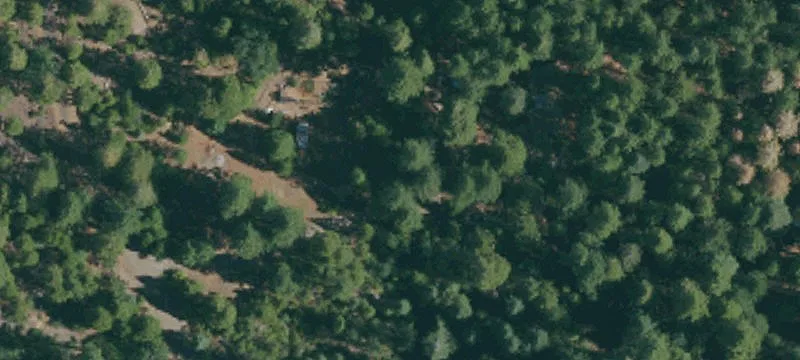 Forested Hillside Home Lot