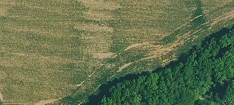 10-Acre Specialty Land Parcel