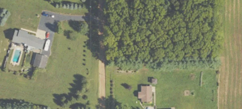 Wooded Dune Land with Cabin