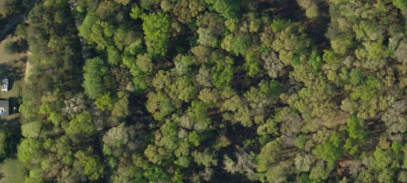 Wooded Residential Home Site Land
