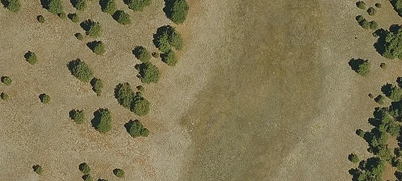 Recreational Hunting Land Lot