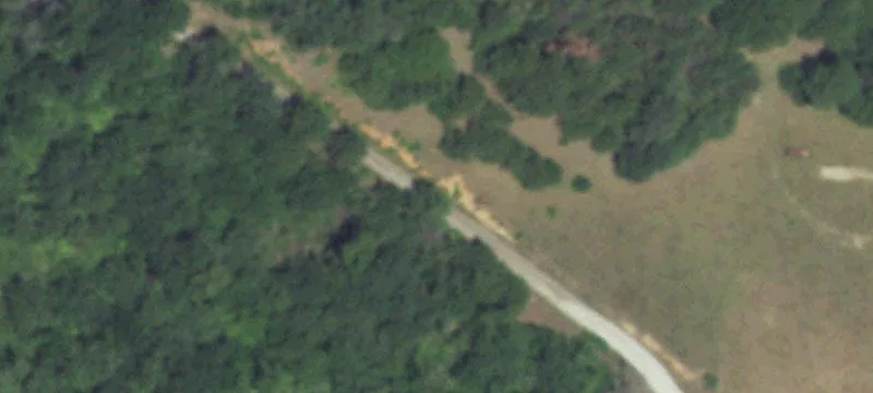 Wooded Hunting and Livestock Land