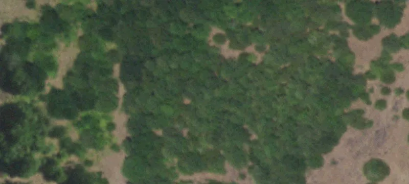 Fully Fenced Ranch With Ponds