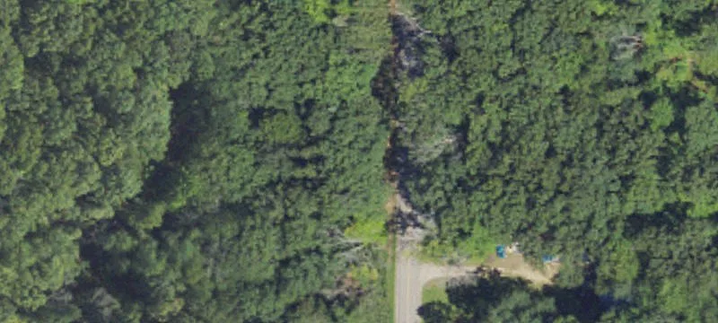Wooded Hunting Recreation Land
