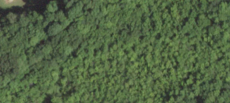 Buildable Residential Land Lot