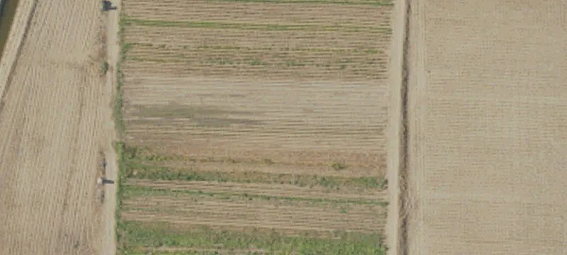 Open Farmland with Two Homes