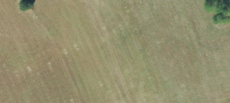 Fenced Hunting Acreage