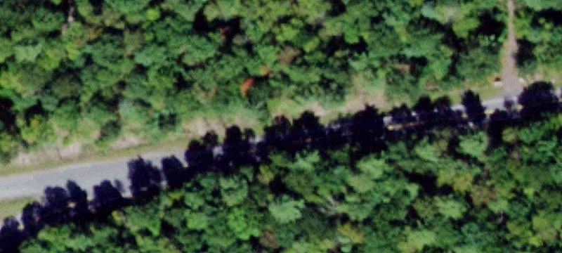 Wooded Residential Land Lot