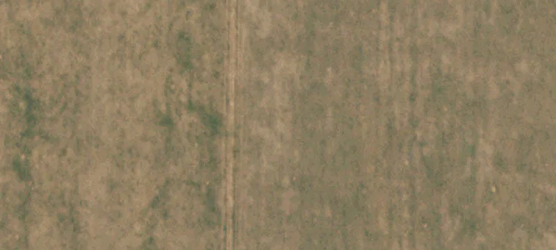 Private Ranch Estate with Acreage