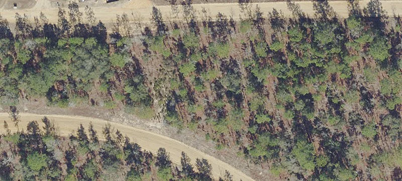 Residential Development Lot in Flood Zone
