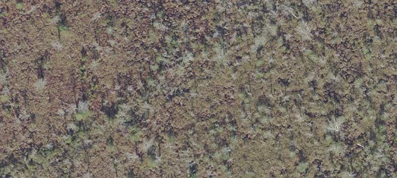 Zoned Agricultural Land for Homestead