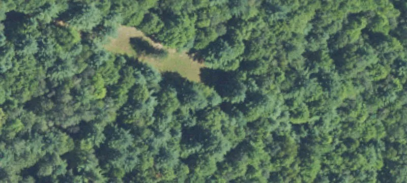 Buildable Treed Land Parcel