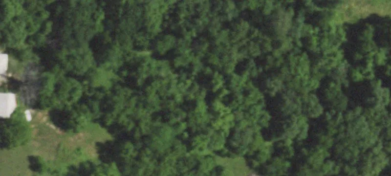 Treed Country Land with Shared Drive