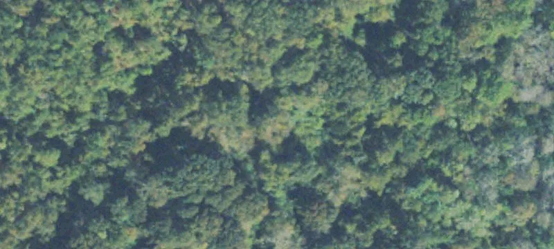 Specialty Acreage Tract