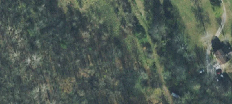 Build-Ready Land with Barndominium