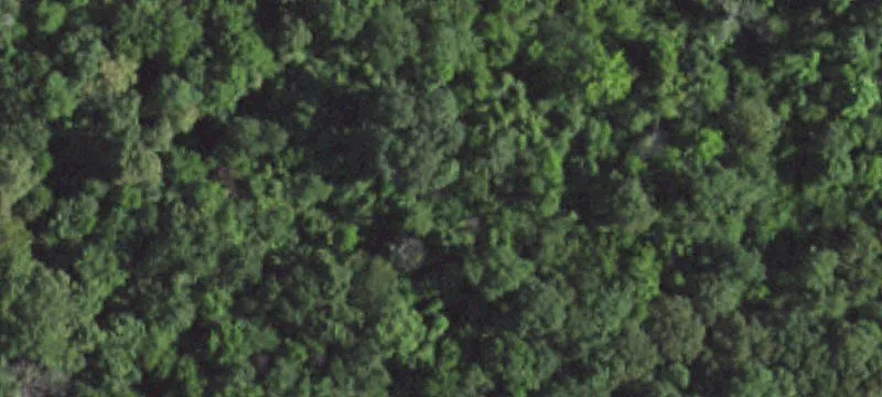 Residential Home Lot